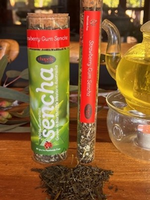 Sencha - Strawberry Gum - Test Tube 20-30gsm